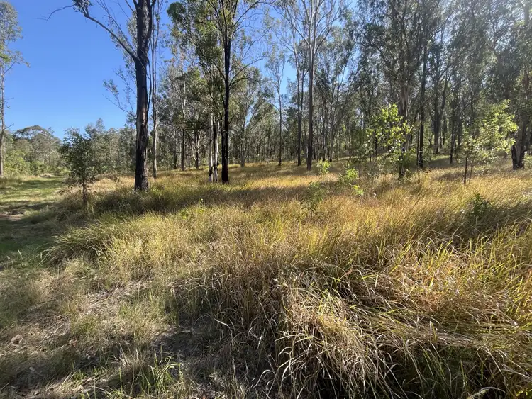 Third view of Homely rural property listing, 2291 Willi Willi Rd, Moparrabah NSW 2440