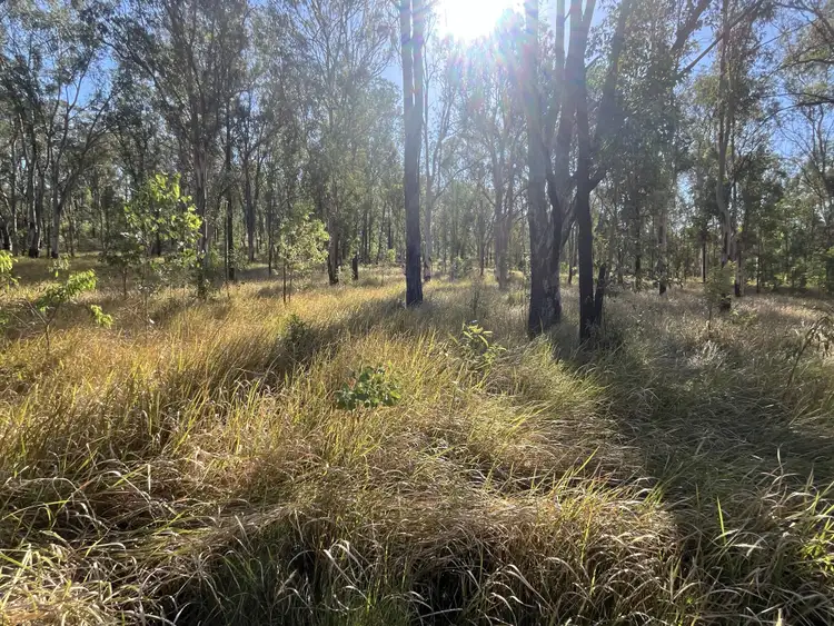 Fourth view of Homely rural property listing, 2291 Willi Willi Rd, Moparrabah NSW 2440