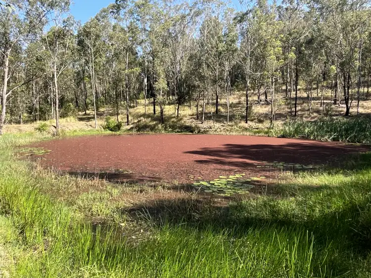 Sixth view of Homely rural property listing, 2291 Willi Willi Rd, Moparrabah NSW 2440
