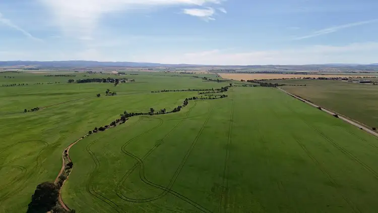 Second view of Homely rural property listing, 'Pinefield' 186 Catford Rd, Appila SA 5480