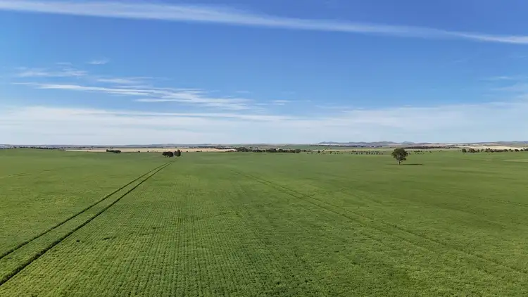 Third view of Homely rural property listing, 'Pinefield' 186 Catford Rd, Appila SA 5480