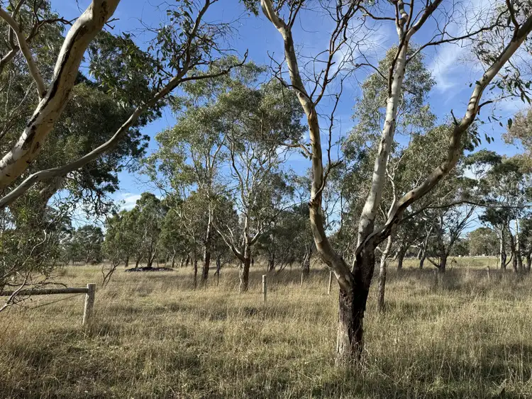 Sixth view of Homely land listing, Lot 107 Shepherds Lane, Penola SA 5277