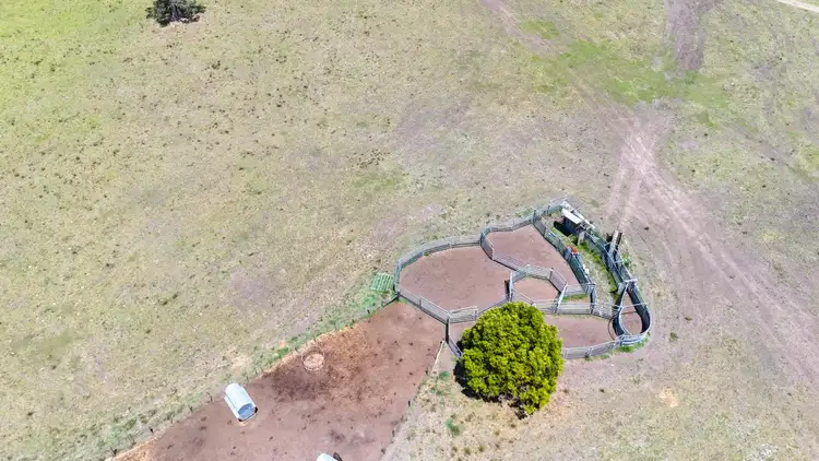 Third view of Homely rural property listing, 367 Kemps Accs, Collombatti NSW 2440