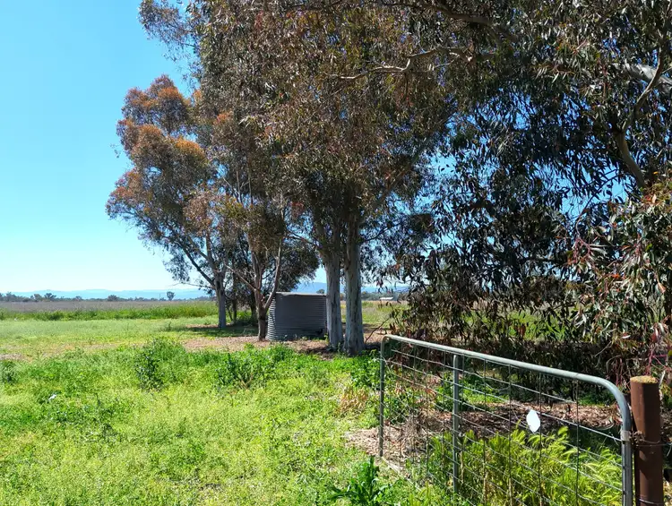 Sixth view of Homely rural property listing, 5082 Werris Creek Road, Warral NSW 2340