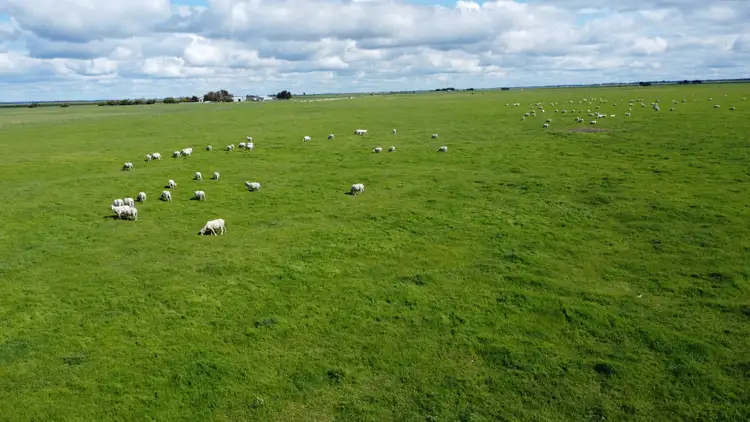 Sixth view of Homely rural property listing, 126 Shuards Lane, Lochaber SA 5271