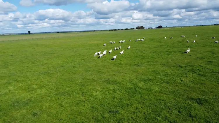 Seventh view of Homely rural property listing, 126 Shuards Lane, Lochaber SA 5271