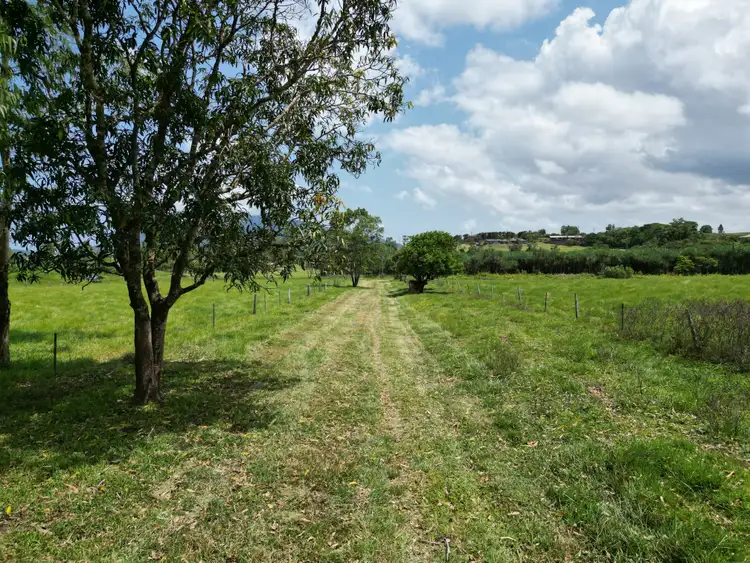 Fifth view of Homely land listing, 601 Bulgun Rd, Feluga QLD 4854