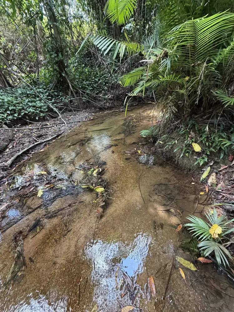 Fifth view of Homely land listing, 601 Bulgun Rd, Feluga QLD 4854