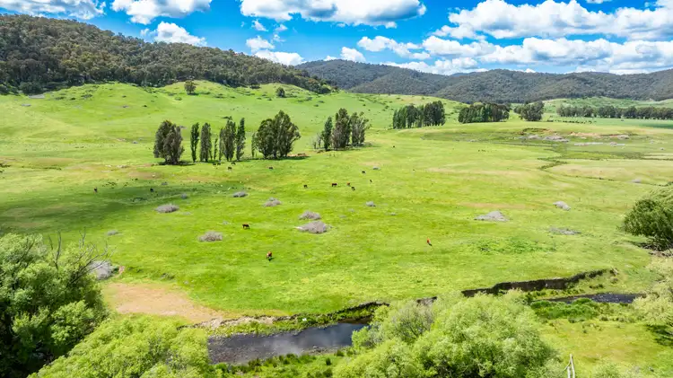 Third view of Homely rural property listing, 'Grassmere'/2485 Tallangatta Creek Rd, Tallangatta Valley VIC 3701