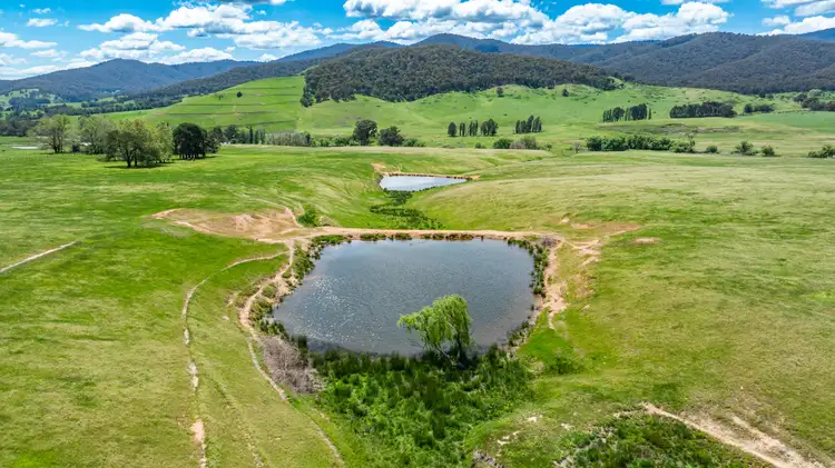 Fourth view of Homely rural property listing, 'Grassmere'/2485 Tallangatta Creek Rd, Tallangatta Valley VIC 3701