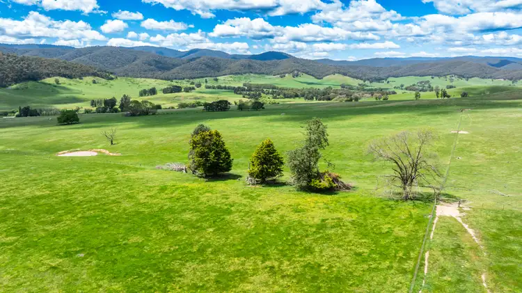 Sixth view of Homely rural property listing, 'Grassmere'/2485 Tallangatta Creek Rd, Tallangatta Valley VIC 3701