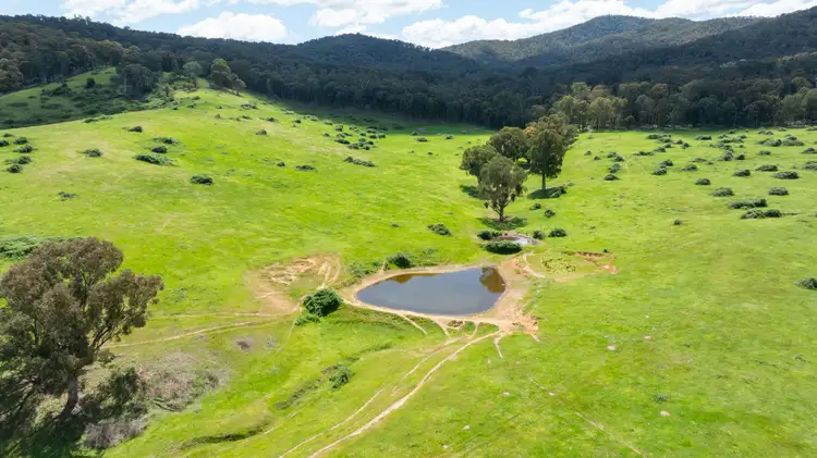 Seventh view of Homely rural property listing, 'Grassmere'/2485 Tallangatta Creek Rd, Tallangatta Valley VIC 3701