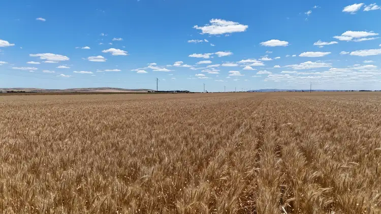 Section 284 Klaus Road, Koolunga SA 5464