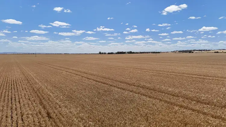 Second view of Homely rural property listing, Section 284 Klaus Road, Koolunga SA 5464