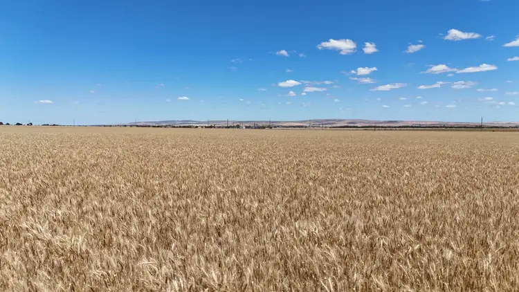 Third view of Homely rural property listing, Section 284 Klaus Road, Koolunga SA 5464