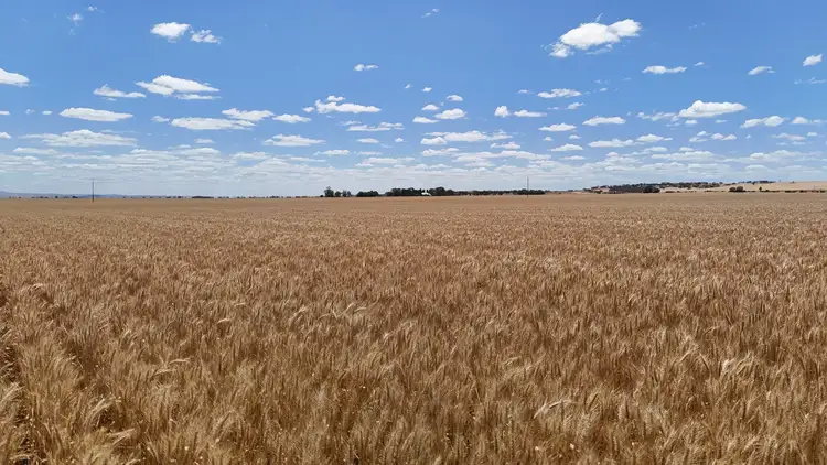 Fourth view of Homely rural property listing, Section 284 Klaus Road, Koolunga SA 5464