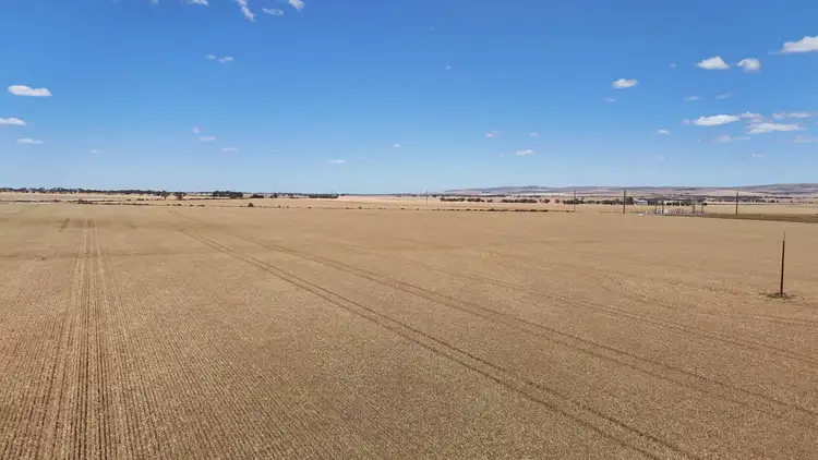 Fifth view of Homely rural property listing, Section 284 Klaus Road, Koolunga SA 5464