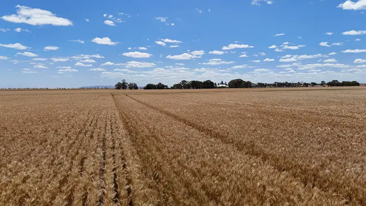 Seventh view of Homely rural property listing, Section 284 Klaus Road, Koolunga SA 5464