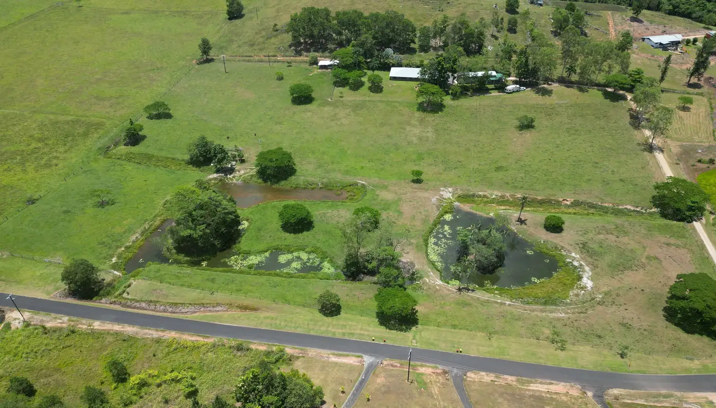 Main view of Homely house listing, 541 Bulgun Rd, Feluga QLD 4854