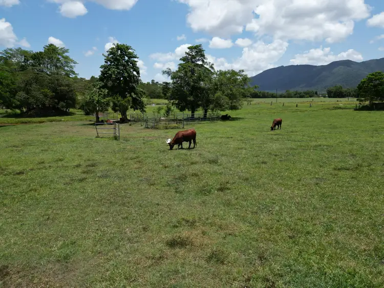 Sixth view of Homely house listing, 541 Bulgun Rd, Feluga QLD 4854