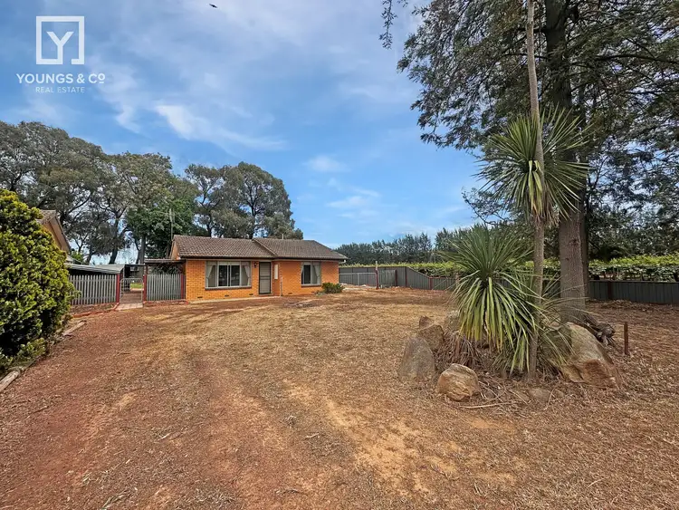 Second view of Homely house listing, 149 Mcphersons Rd, Mundoona VIC 3635