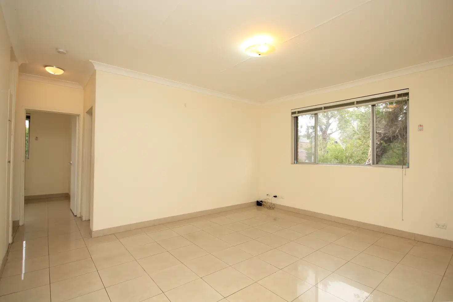 Main view of Homely unit listing, 3/436 ILLAWARRA Road, Marrickville NSW 2204