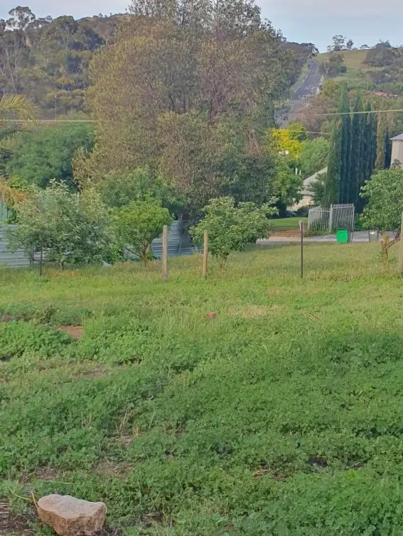 Main view of Homely land listing, 20 Sarah Street, Penrice SA 5353