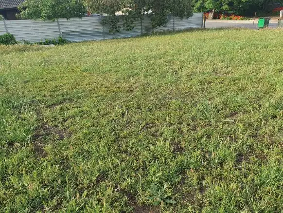 Fourth view of Homely land listing, 20 Sarah Street, Penrice SA 5353