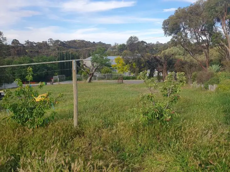 Sixth view of Homely land listing, 20 Sarah Street, Penrice SA 5353