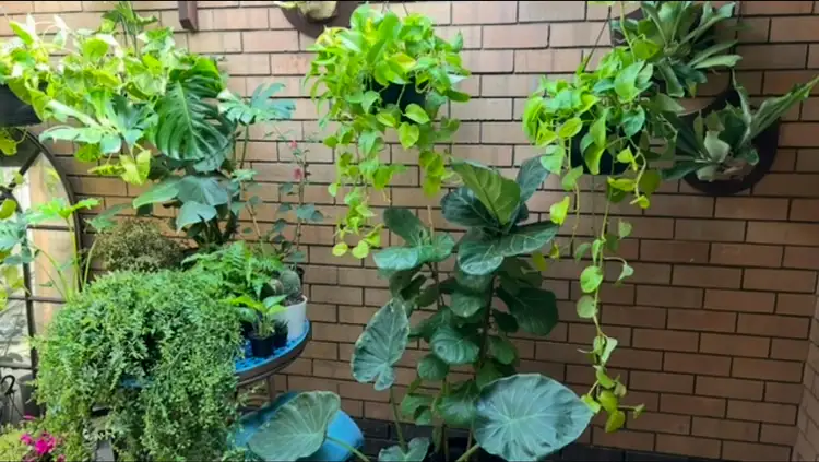 Fifth view of Homely house listing, 58A Fifth Rd, Armadale WA 6112