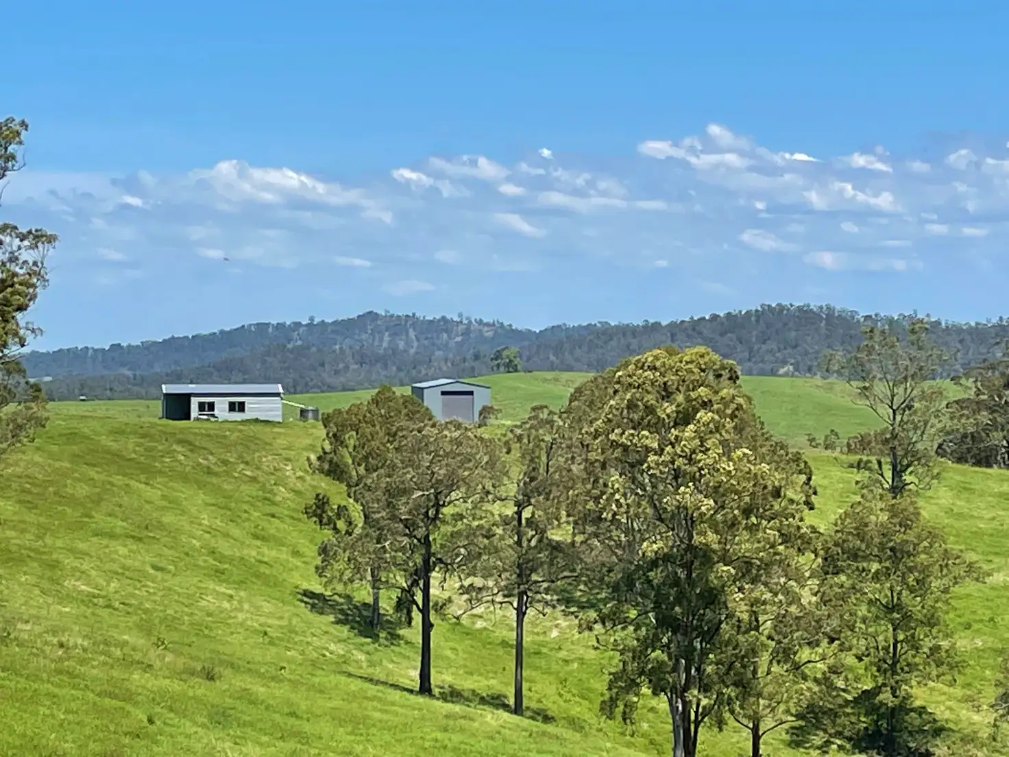 Main view of Homely rural property listing, 59 Wyndham Road, Wyneden NSW 2474