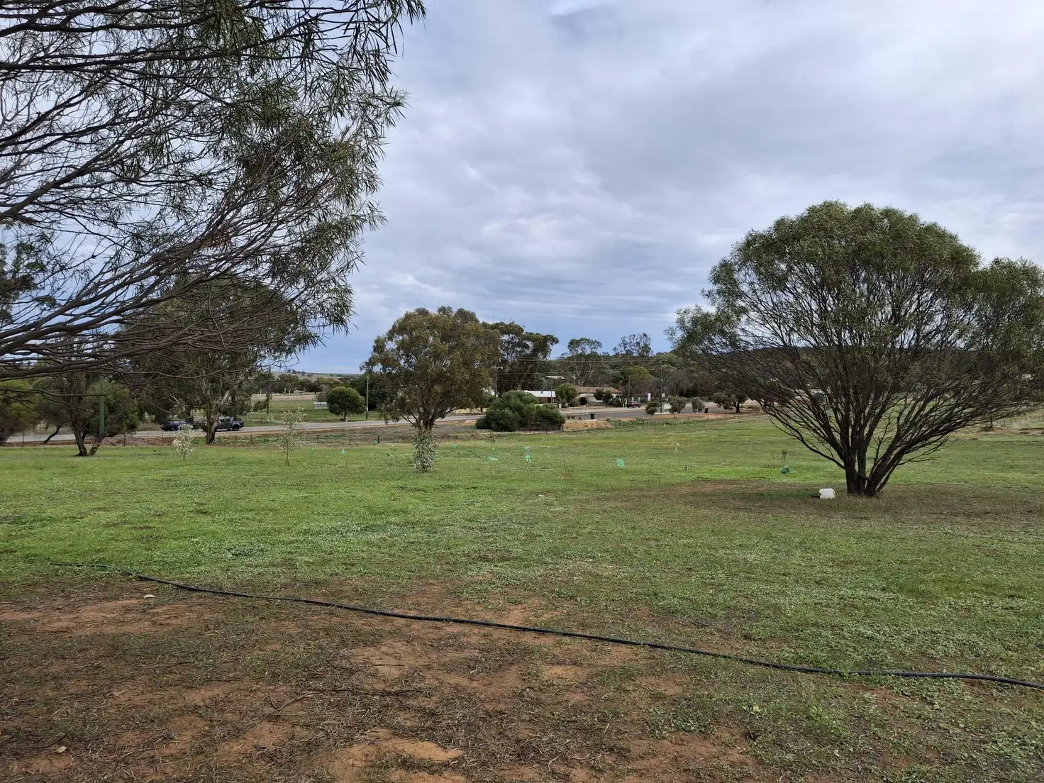 Main view of Homely land listing, 6 Gratte Street, Northam WA 6401
