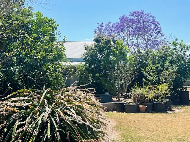 Second view of Homely house listing, 12 Bruckner Street, Boonah QLD 4310