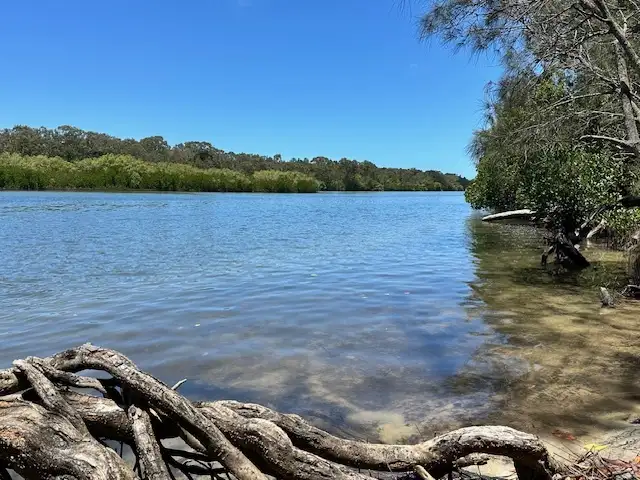 89 Lake Weyba Dr, Noosaville QLD 4566