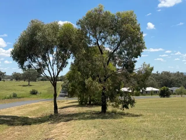Main view of Homely land listing, 4 Rosella Street, Inverell NSW 2360
