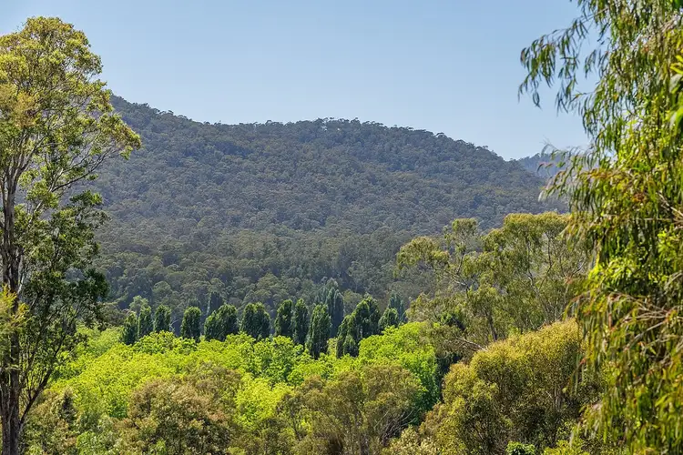 Fifth view of Homely land listing, Lot 16 Victoria Street, Towamba NSW 2550