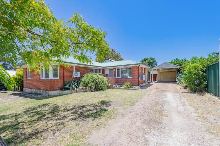 51 Culloton Crescent, Balga WA 6061