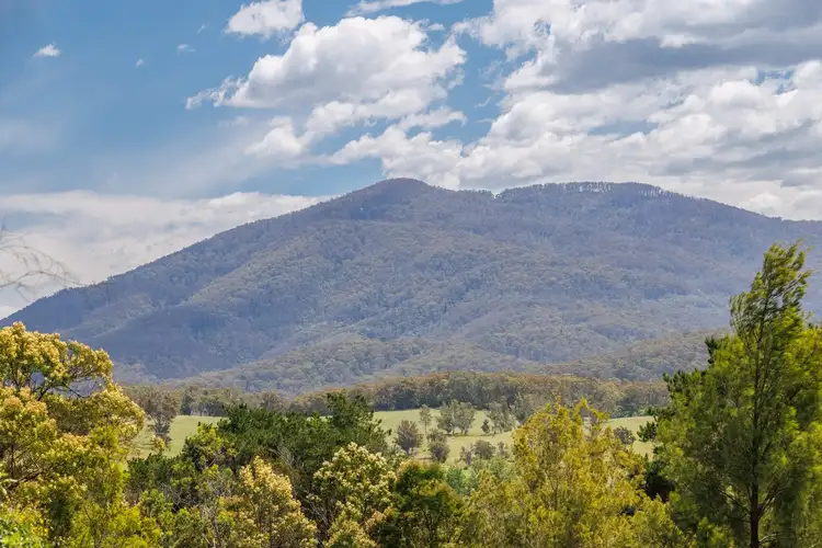 Second view of Homely rural property listing, 2-6 Nangutta St, Towamba NSW 2550