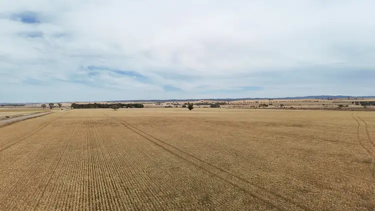 1005 Appila-Laura Rd, Appila SA 5480