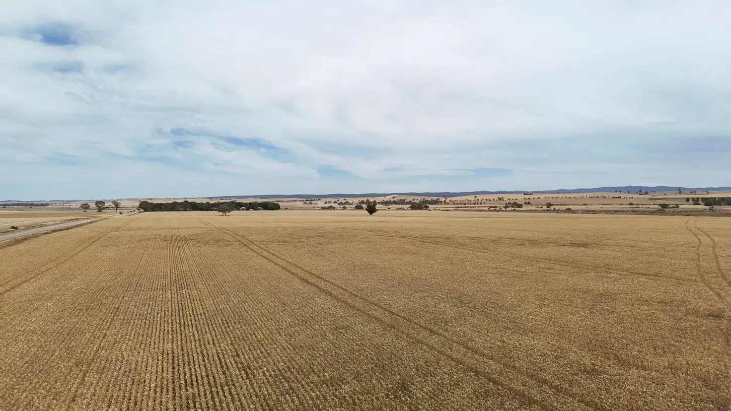 Main view of Homely rural property listing, 1005 Appila-Laura Rd, Appila SA 5480