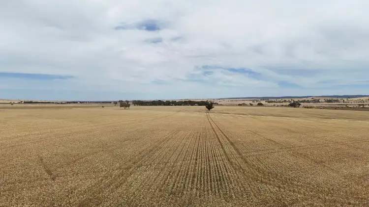 Second view of Homely rural property listing, 1005 Appila-Laura Rd, Appila SA 5480