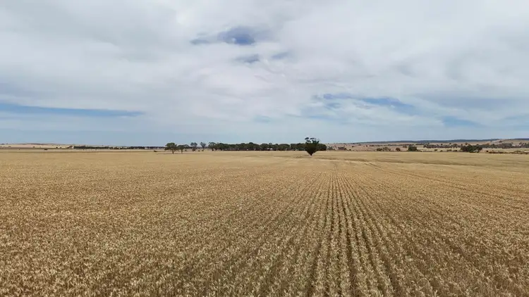 Third view of Homely rural property listing, 1005 Appila-Laura Rd, Appila SA 5480