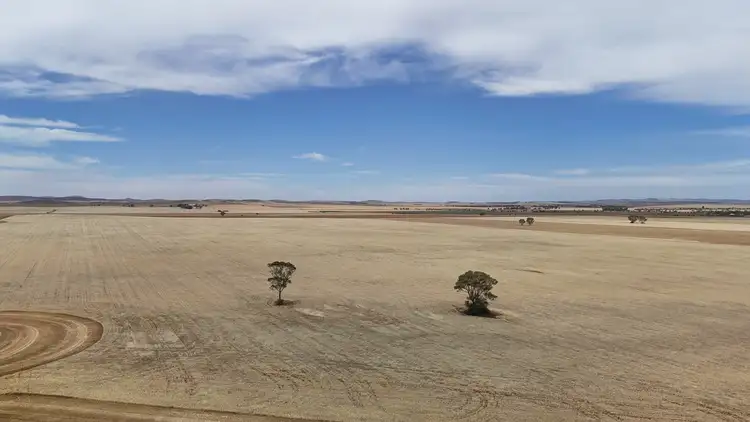 Fourth view of Homely rural property listing, 1005 Appila-Laura Rd, Appila SA 5480