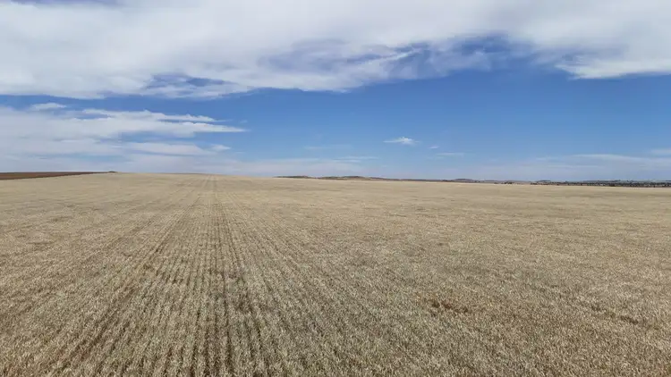 Fifth view of Homely rural property listing, 1005 Appila-Laura Rd, Appila SA 5480