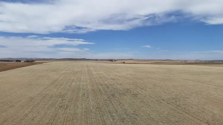 Sixth view of Homely rural property listing, 1005 Appila-Laura Rd, Appila SA 5480