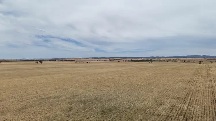 Seventh view of Homely rural property listing, 1005 Appila-Laura Rd, Appila SA 5480