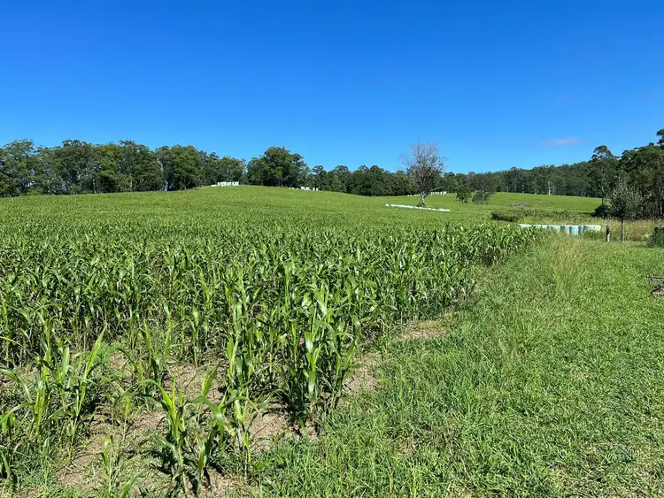 45 Moores Lane, Eungai Creek NSW 2441