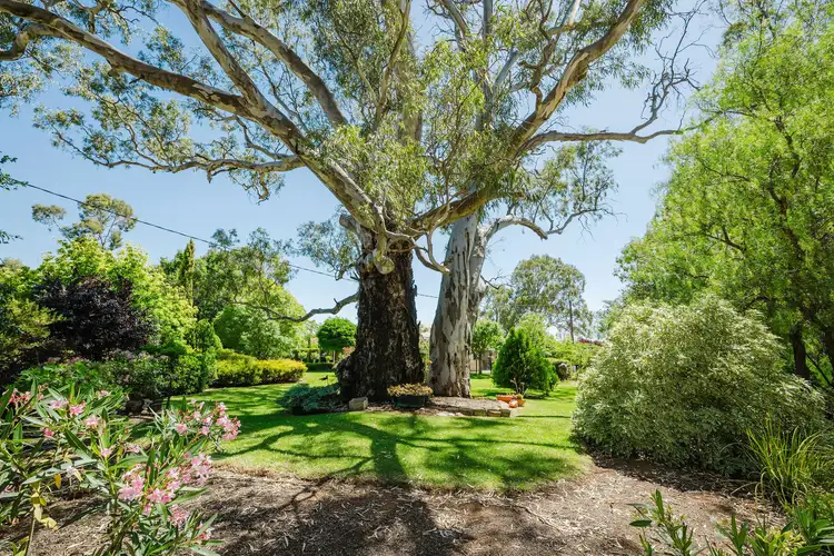 Fifth view of Homely house listing, 7 Short St, Mintaro SA 5415