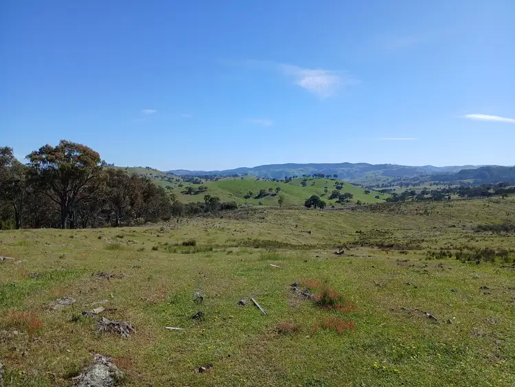 Lot 161 Eldridges Lane, Taylors Flat NSW 2586