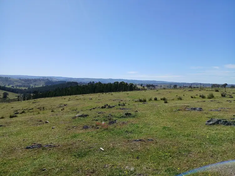 Sixth view of Homely rural property listing, Lot 161 Eldridges Lane, Taylors Flat NSW 2586